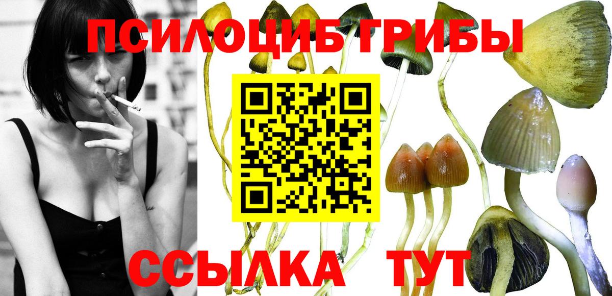 Галлюциногенные грибы Cubensis Асбест