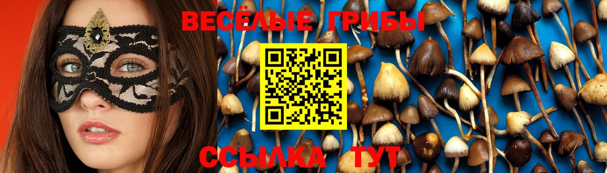 Асбест  купить закладку  Вход с VPN  Псилоцибиновые грибы Psilocybe  Галлюциногенные грибы Psilocybe 
